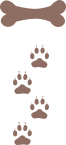 i7_brown img