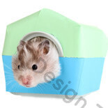 icon_img4 img